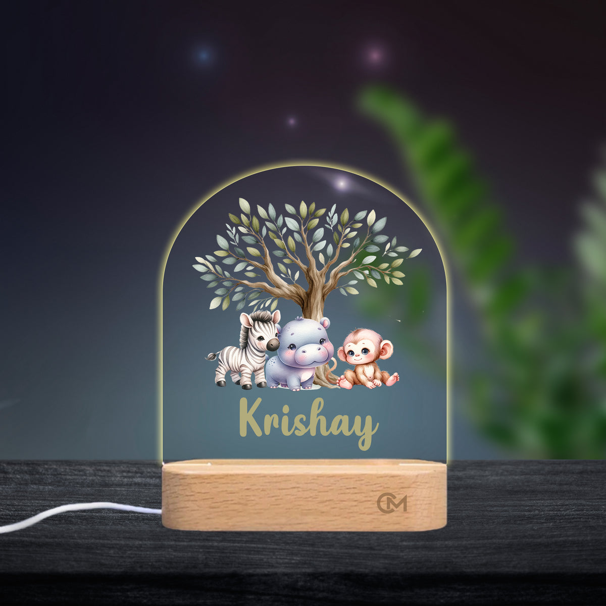 Customised LED Acrylic Night Lamp - Cute Animals